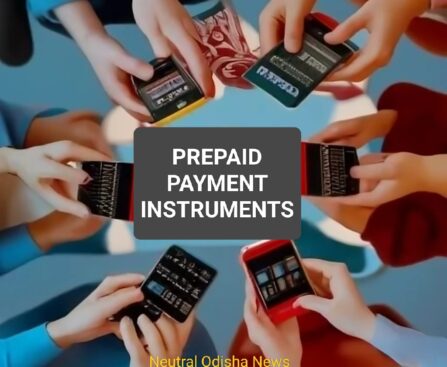 Prepaid Payment Instruments (PPI)